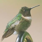 Kay Allgood's photo
