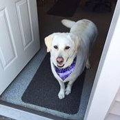 Candiace Taylor's photo