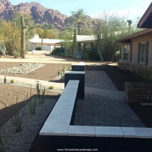 Xeriscape