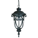 Acclaim - Acclaim Naples 1-Light Outdoor Hanging Lantern 2116BK, Matte Black - Ornate, Italianate framing swirls and curves gracefully embrace clear seeded glass. This worldly design will add the right amount of splendor to any space. A cast aluminum construction resists rust and corrosion.