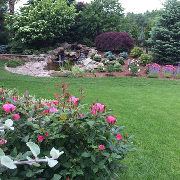 Water Gardens: Pond & Waterfall for Birds & Fish