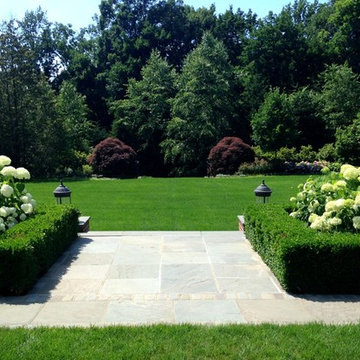 back yard