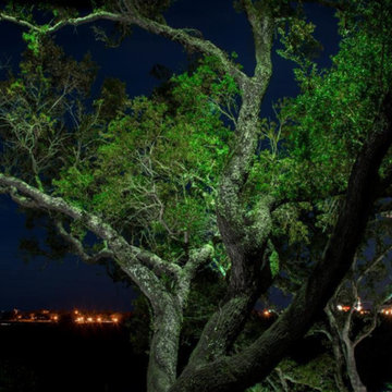 Pensacola, FL