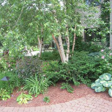 Landscape Ideas