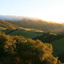 country sides