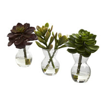 Plants/Flowers