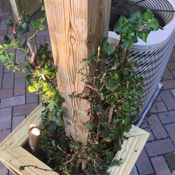 Baltimore Backyard