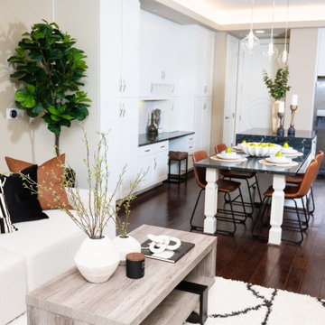River Oaks Transitional Model Apartment