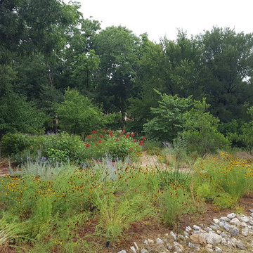 Drought tolerant and wildlife friendly front yard transformation