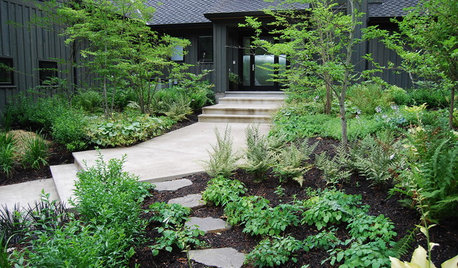 6 Ways You Can Save on Your Garden Renovation