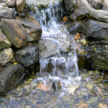 Waterfalls and Streams
