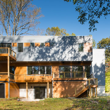 forest house