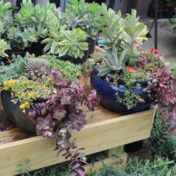 Gallery - Gardening And Lawn Care
