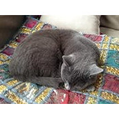 Alicia Byrne's photo