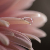 Danielle Awwad's photo