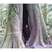 Glenn Chaffey's photo