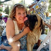 Gail Marschak's photo