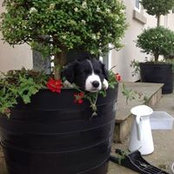Foto von Clare Taylor-Smith