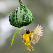 Ната Но's photo