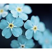 Barbara Craig's photo
