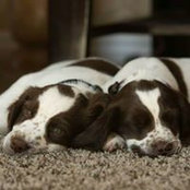 Gina Strole's photo