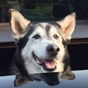 Stephen Lambert's photo