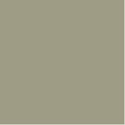 Benjamin Moore Louisburg green HC-113 - Paint