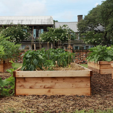 CRI Healthy Garden