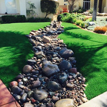 Minimalist front yard