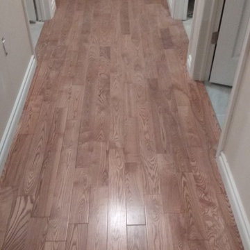 Our Work