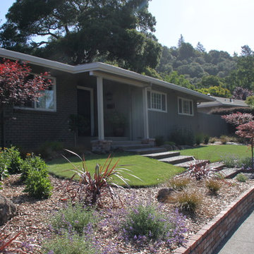 Proctor Terrace Backyard