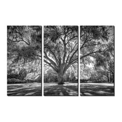Triptych Wall Art - Products