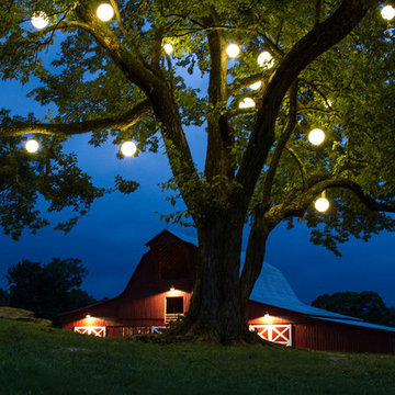 Minneapolis Landscape Lighting