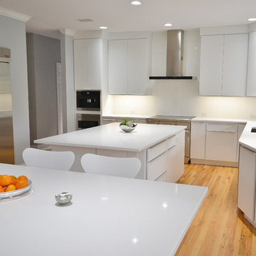 Sleek and European Kitchen Remodel