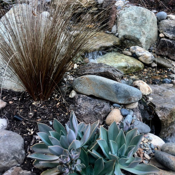 Incredible Award winning Lafeyette Garden