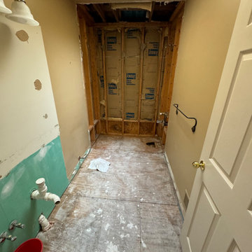 Upcoming Livonia Main Bathroom renovation