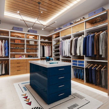 Contemporary Walk-In Closet with Blue Island