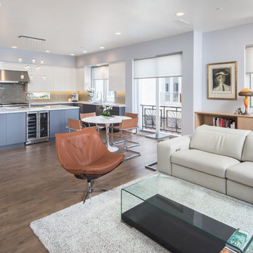 Marina Del Rey Modern Makeover