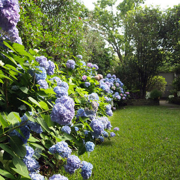 My Houzz: Peek Inside an Artist’s Updated Shotgun Home and Studio