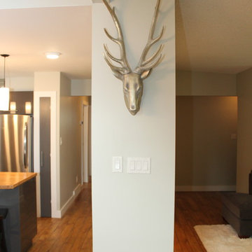 House renovation- Flip