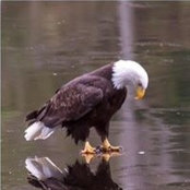 Susan Daughtry's photo