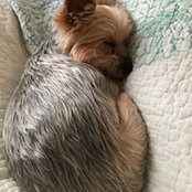 Cindy Brown's photo