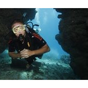 Ron Anderson's photo