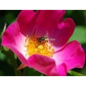 Michael Senft's photo