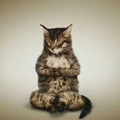 Tran Tam's photo