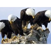 Keith Rowberry's photo