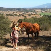 Joanna Powell's photo