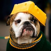 John Hyland's photo