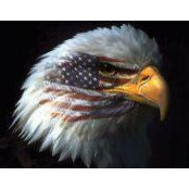 Carla Seif's photo