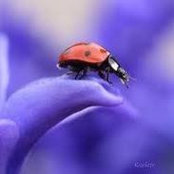 Melissa Topp's photo